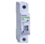 Imagine Siguranță automată Ex9BS 1P C25 25A 4.5kA 102126