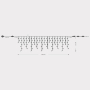 Imagine Ghirlandă extensibilă cu 144 LED-uri albe de 5mm, cablu verde, IP65