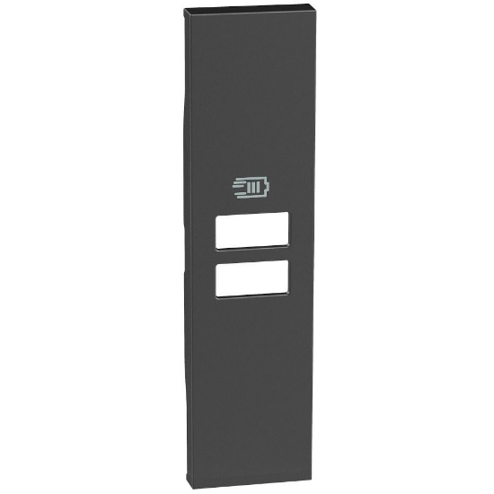 Imagine Placă Bticino Living Now cu Încărcător Dublu USB 1M Negru KG13C