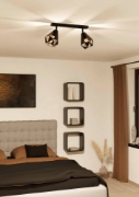 Imagine Plafonieră Carlton-7 2 IP20 cupru antichizat/negru EGL 43716