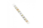Imagine GTV BANDA LED LD-2835MW-300-20-ZB-50 LED ROLA 50M 360LM 12V 6500K IP20