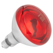 Imagine BEC INFRAROSU CRESTERE PUI E27 R125 100W REBEL