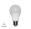 Imagine BEC LED 240V DIMABIL TIP "PARA" E27 15W LUMINA CALDA
