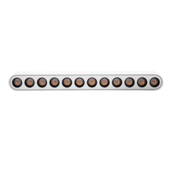 Imagine Corp (lentile la 36 grade) cu LED 12w pentru sina 40VDC lumina alba - alb